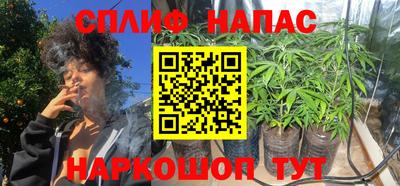 бошки Будённовск