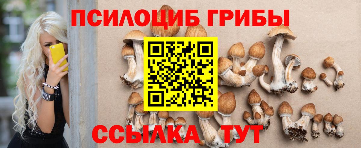 Лесной  Псилоцибиновые грибы MAGIC MUSHROOMS  Вход с VPN 
